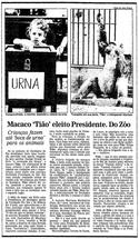 13 de Novembro de 1989, Rio, página 13
